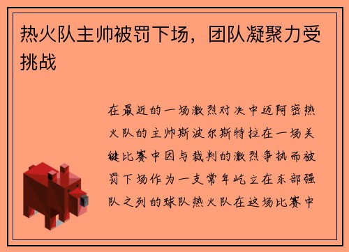 热火队主帅被罚下场，团队凝聚力受挑战