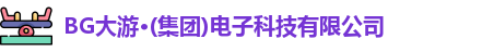 BG大游电子在线登录